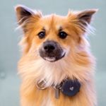theambassadortwix
