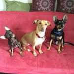 ziggynscoutnmaisy