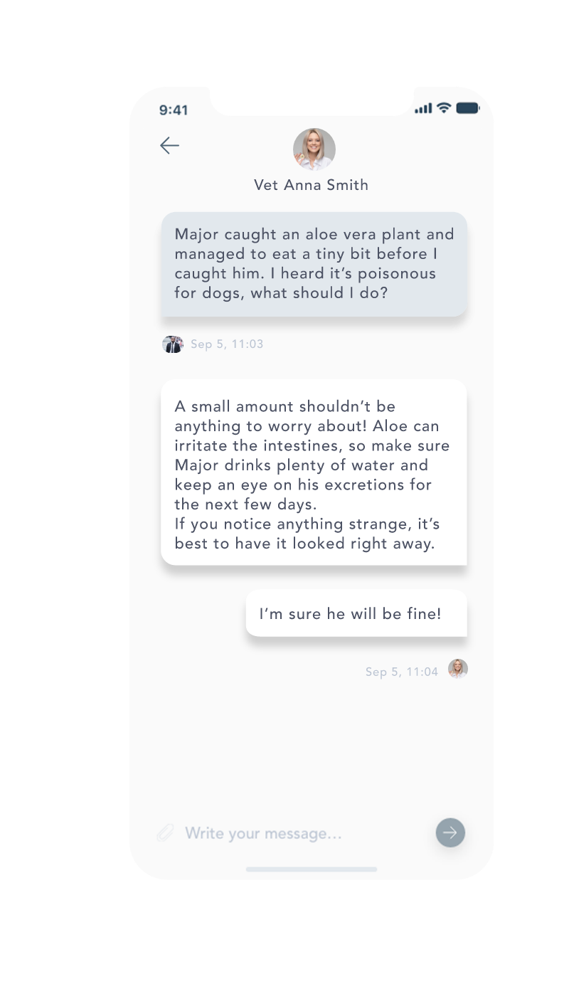 Findster Care's real-time vet chat