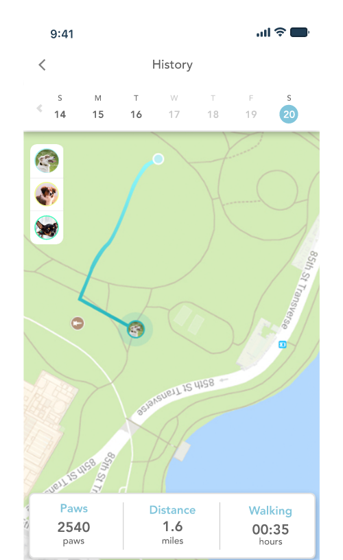 GPS Pet Tracker for Dogs and Cats - Free of Monthly Fees | Findster
