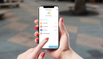 How to track your pet