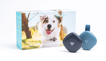 Findster duo shop plus pet tracker