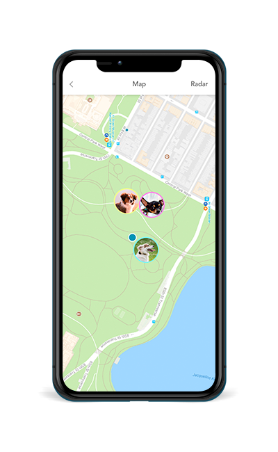 Track your pet