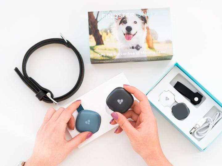 Buy Findster Duo Track your pet s location and activity in Real time