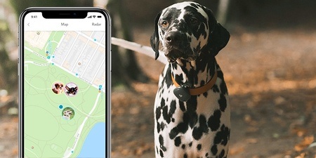 track your dog app