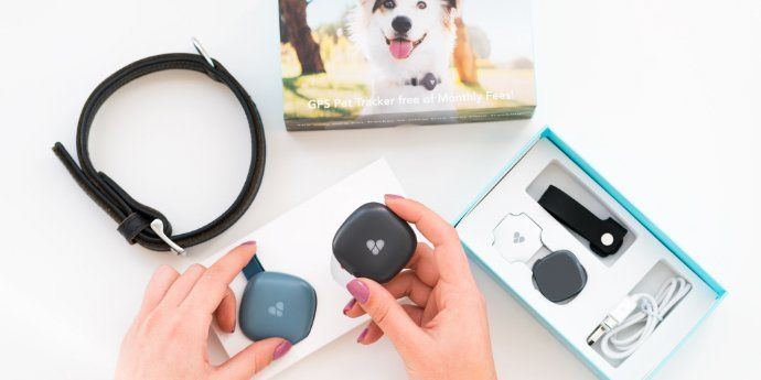 Buy Findster Duo Track your pet s location and activity in Real time