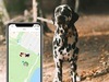 Track your pet in real time using the Findster App on your smartphone. <span class="italic">(photo sent by Gaby, Cosmo’s best friend)</span>